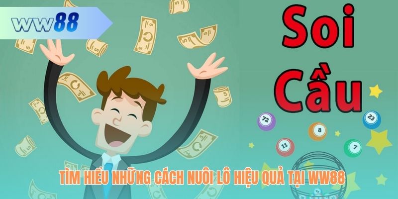 Các cách nuôi lô hiệu quả hàng đầu