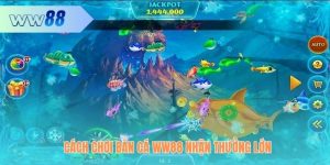 Cách Chơi Bắn Cá WW88