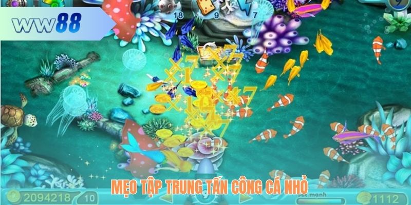 Mẹo tập trung tấn công cá nhỏ
