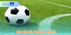 Cách Nhận Biết Kèo Châu Á Và Châu Âu