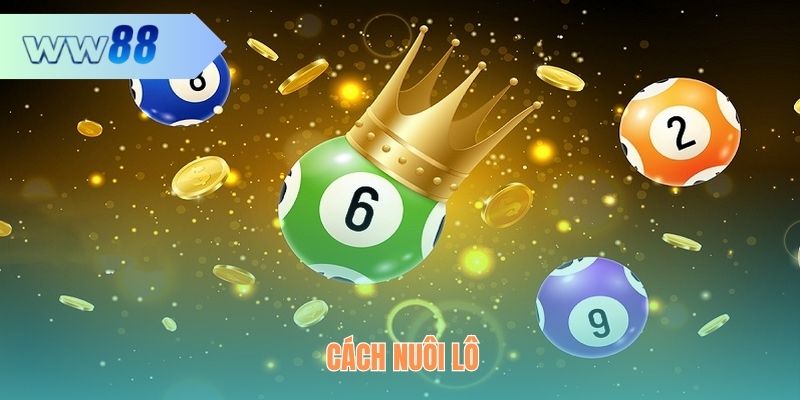 Cách Nuôi Lô