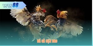 Đá Gà Cựa Dao