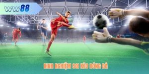 Kinh Nghiệm Soi Kèo Bóng Đá