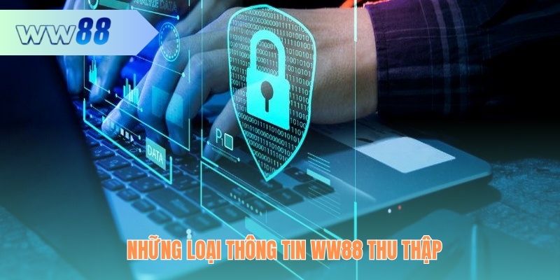 Các loại thông tin được nhà cái thu thập