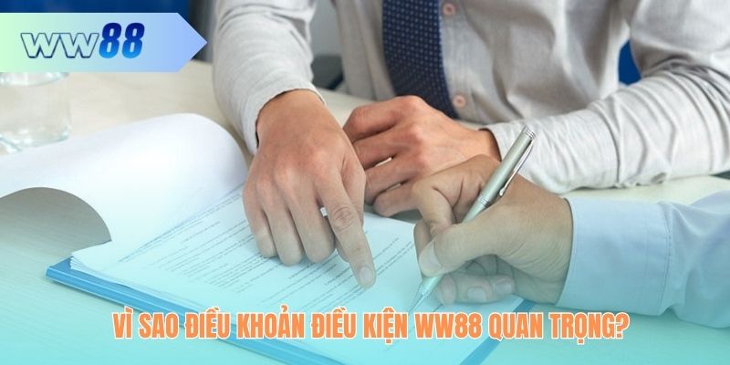 Chính sách điều khoản điều kiện WW88 vô cùng quan trọng